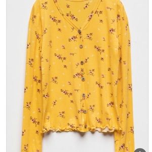 Meet your Posher, Daisy